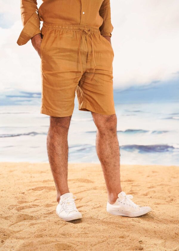 Summer Shorts - Image 3